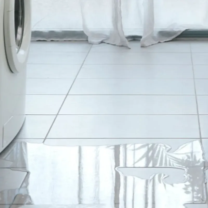 Appliance Leak Cleanup in Washington, IA