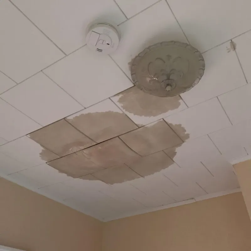 Ceiling Water Damage Repair in Washington, IA