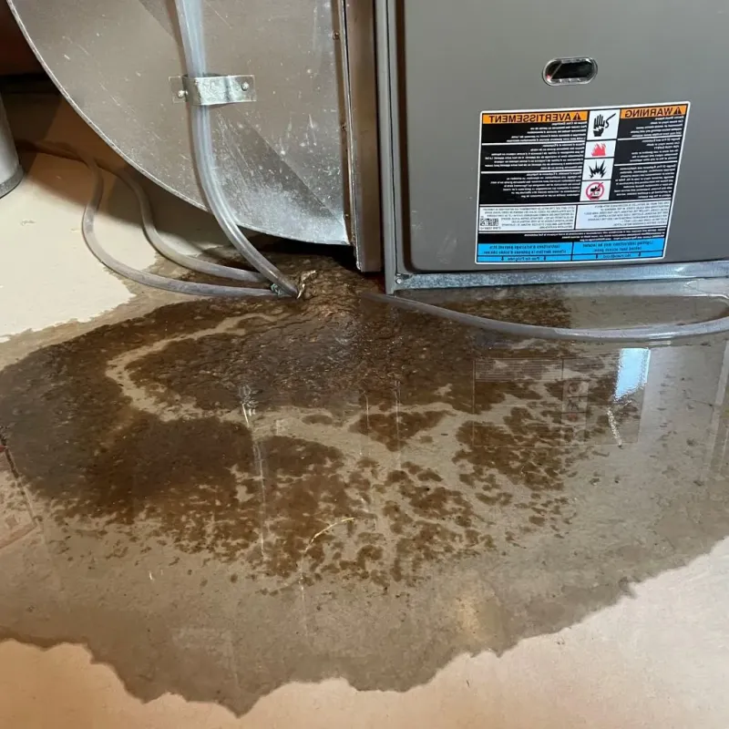 Pipe Burst and Leak Restoration in Washington, IA