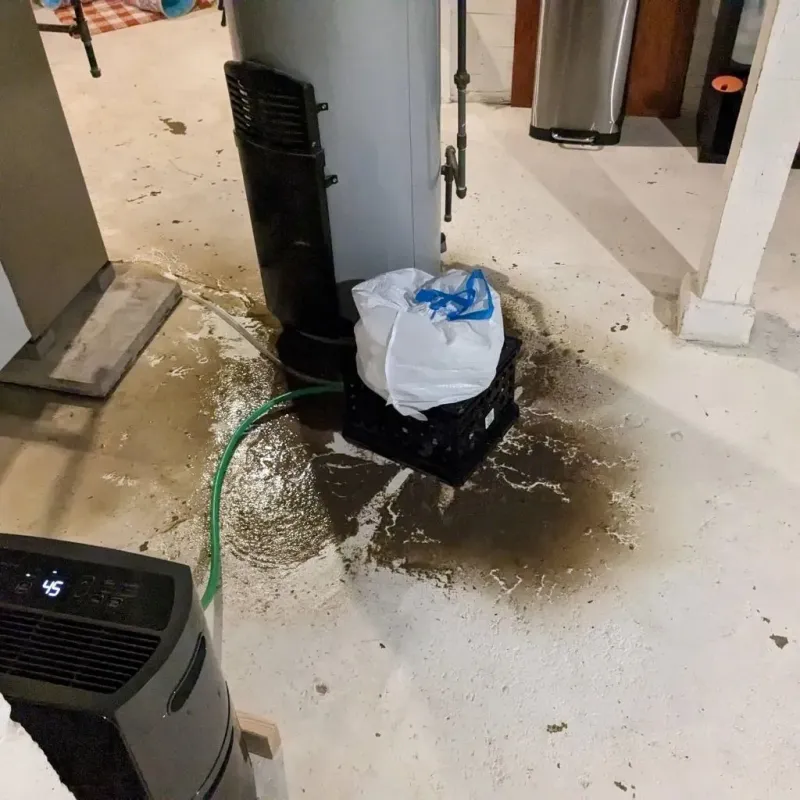Sewage Backup Cleanup Service in Washington, IA